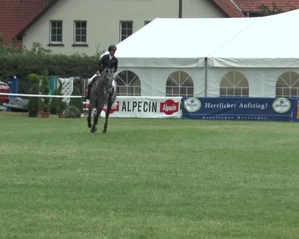 FEI Reitturnier Steinhagen (GER) 2015
