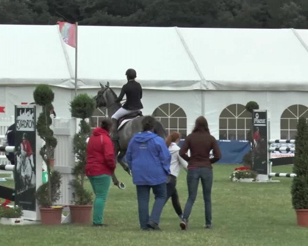 FEI Reitturnier Steinhagen (GER) 2015