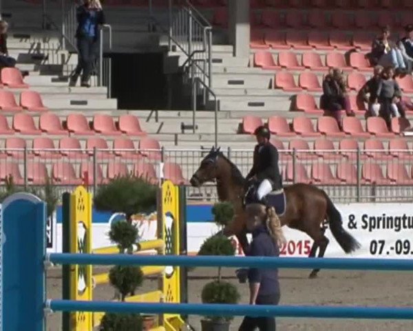 Reitturnier Redefin 2015