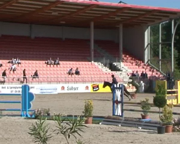 Reitturnier Redefin 2015