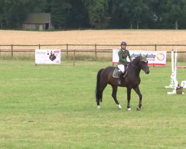 Reitturnier Ahlhorn 2015
