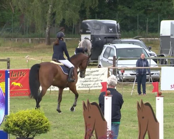 Reitturnier Ahlhorn 2015