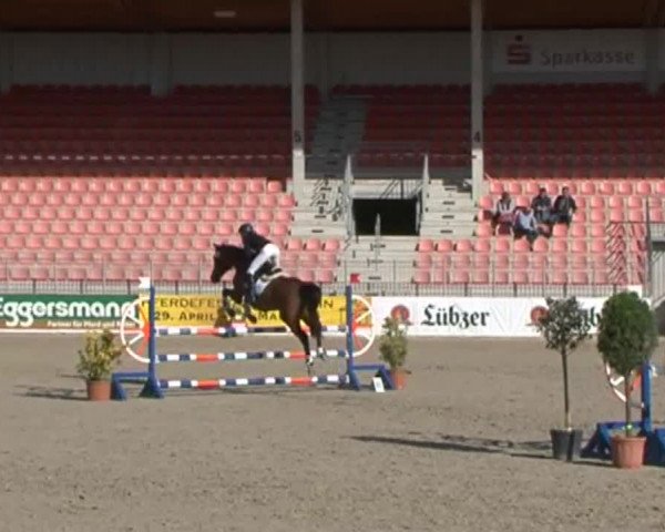 Reitturnier Redefin 2015