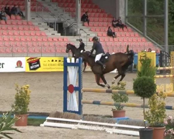 Reitturnier Redefin 2015