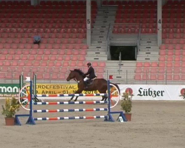 Reitturnier Redefin 2015