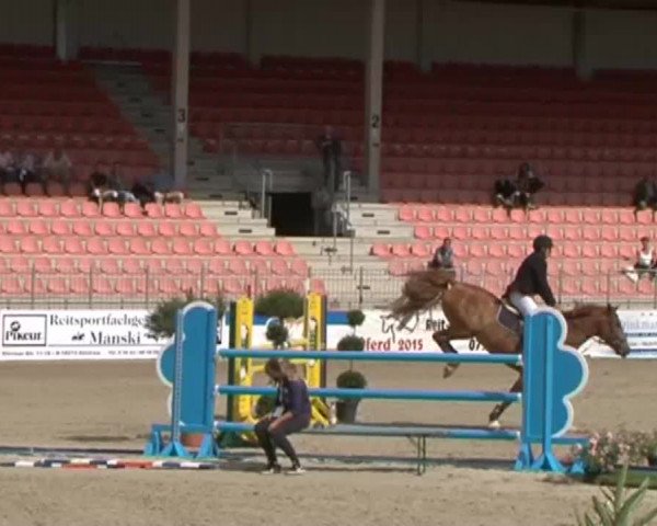 Reitturnier Redefin 2015