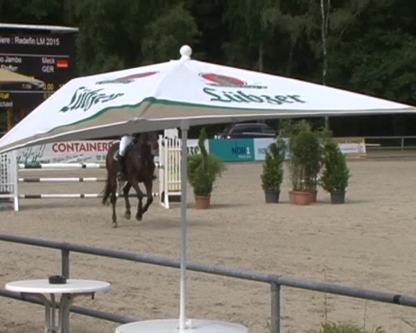 Reitturnier Redefin 2015