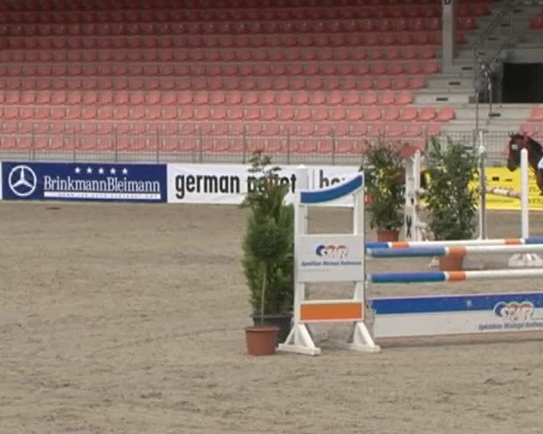 Reitturnier Redefin 2015
