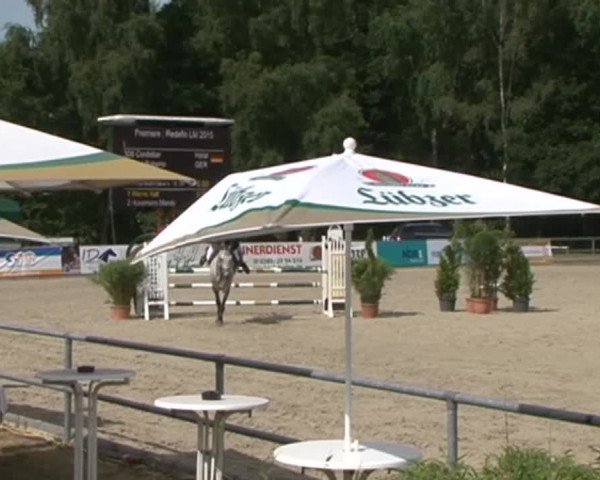 Reitturnier Redefin 2015