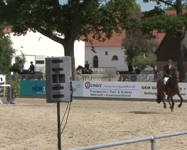Reitturnier Redefin 2015
