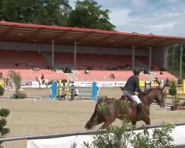 Reitturnier Redefin 2015