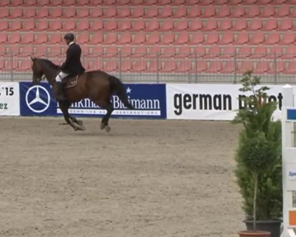Reitturnier Redefin 2015