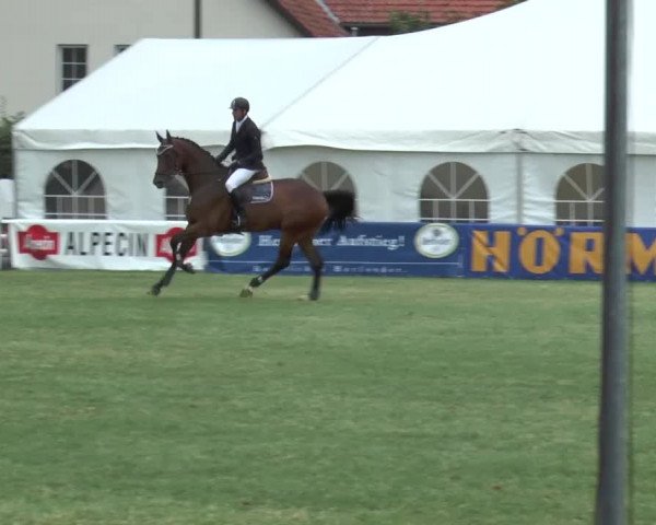 FEI Reitturnier Steinhagen (GER) 2015