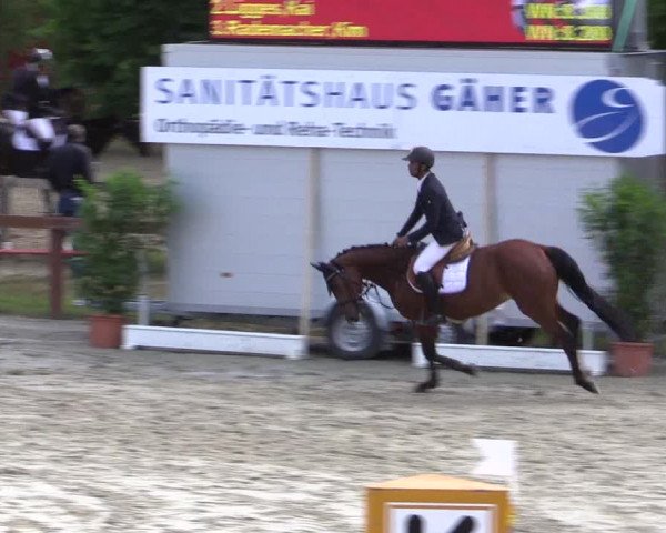 Reitturnier Münster-Roxel 2015