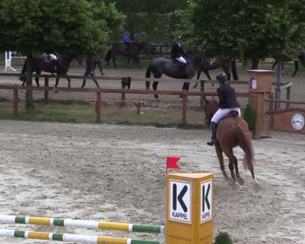 Reitturnier Münster-Roxel 2015