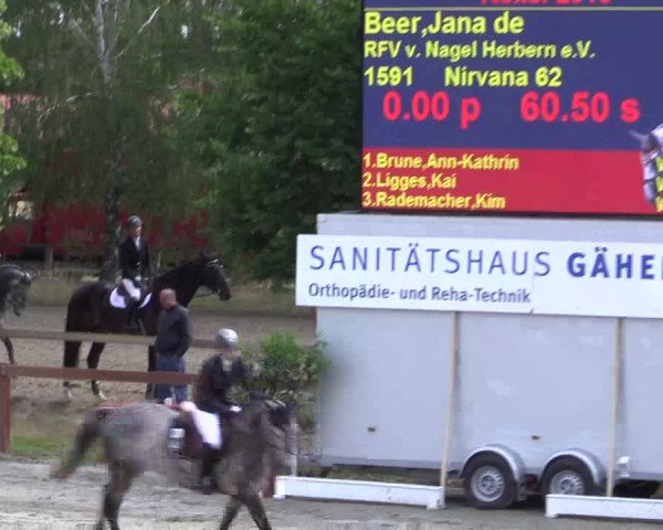 Reitturnier Münster-Roxel 2015