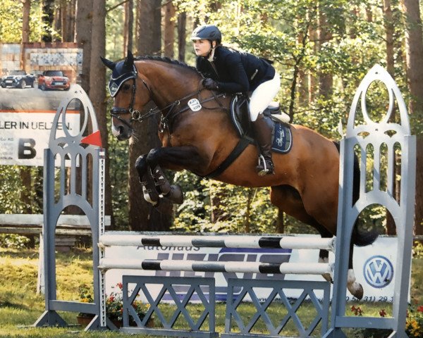 Zuchtstute Winya D'or (Hannoveraner, 2003, von Wolkenstein II)