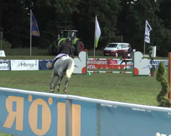 FEI Reitturnier Steinhagen (GER) 2015