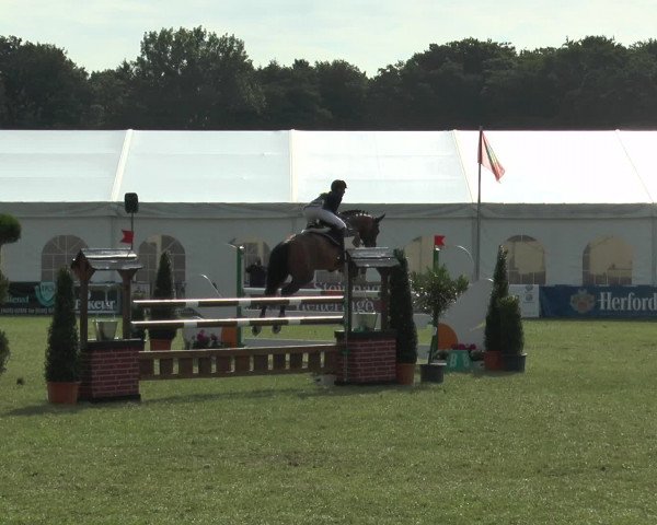 FEI Reitturnier Steinhagen (GER) 2015