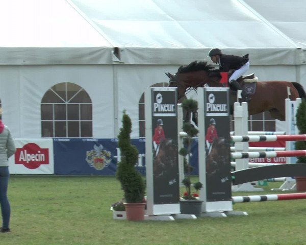 FEI Reitturnier Steinhagen (GER) 2015