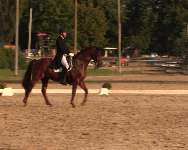 Reitturnier Münster-Roxel 2015
