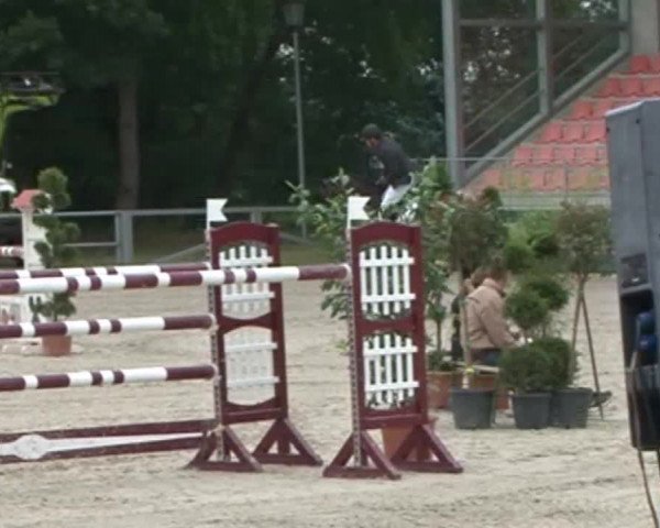 Reitturnier Redefin 2015