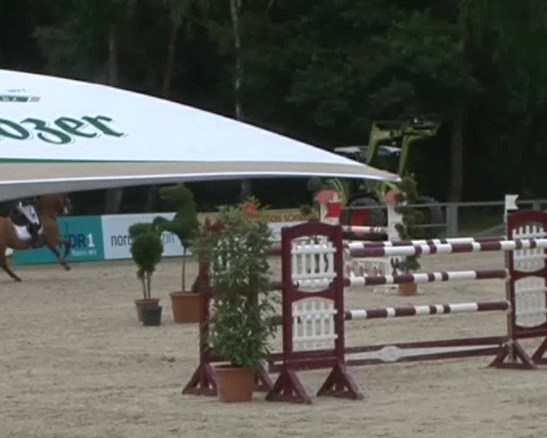 Reitturnier Redefin 2015