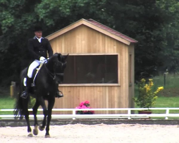 Reitturnier Redefin 2015