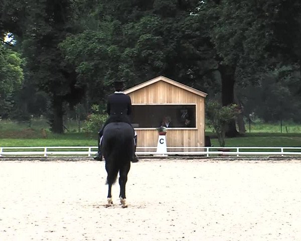 Reitturnier Redefin 2015
