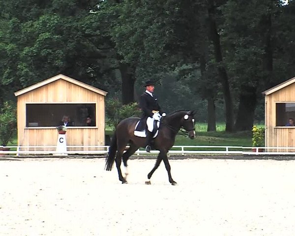 Reitturnier Redefin 2015