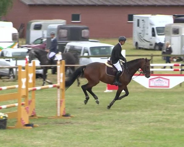 Reitturnier Ahlhorn 2015