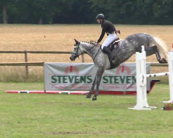 Reitturnier Ahlhorn 2015