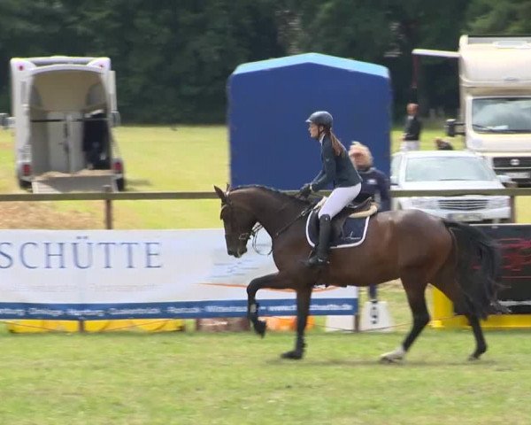 Reitturnier Ahlhorn 2015