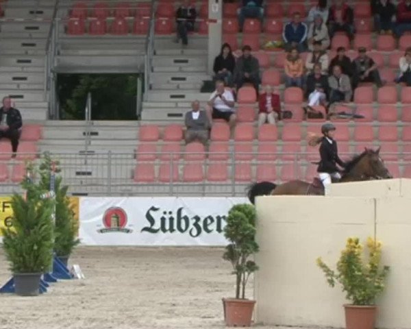 Reitturnier Redefin 2015
