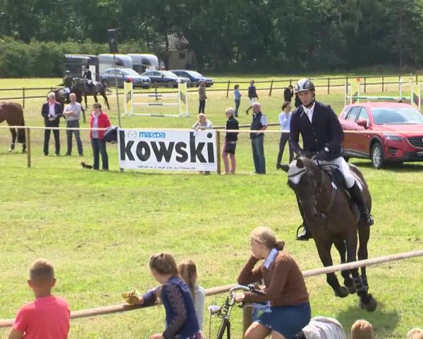Reitturnier Ahlhorn 2015