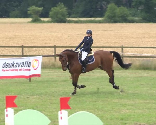 Reitturnier Ahlhorn 2015