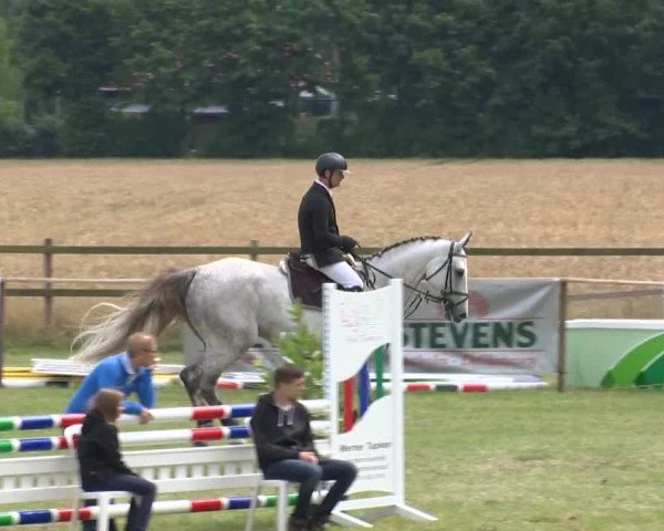 Reitturnier Ahlhorn 2015