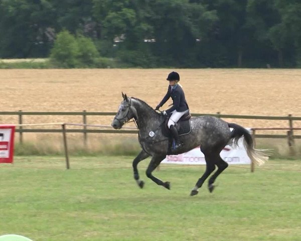 Reitturnier Ahlhorn 2015