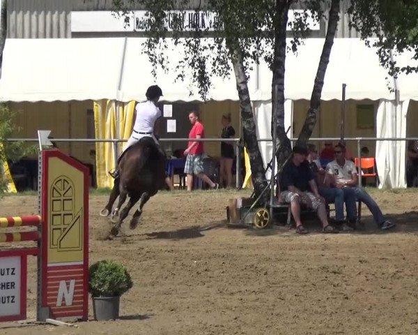 Reitturnier Grefrath - Reitanlage Heitzerend 2015