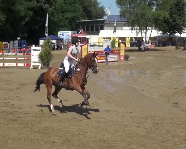 Reitturnier Grefrath - Reitanlage Heitzerend 2015