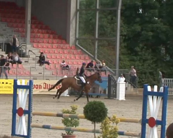 Reitturnier Redefin 2015