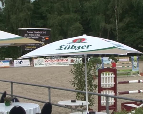 Reitturnier Redefin 2015
