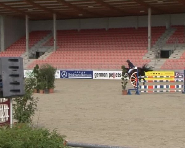 Reitturnier Redefin 2015