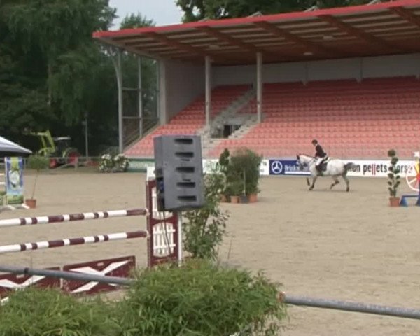 Reitturnier Redefin 2015