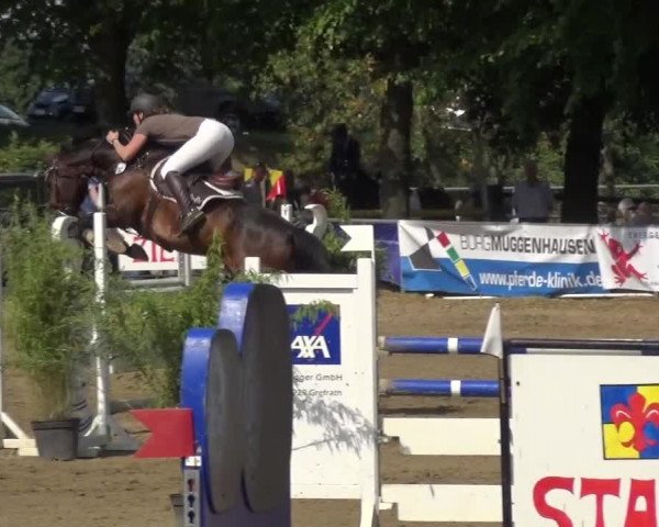 Reitturnier Grefrath - Reitanlage Heitzerend 2015