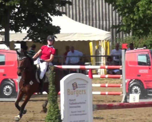 Reitturnier Grefrath - Reitanlage Heitzerend 2015