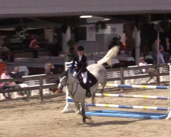 Reitturnier Münster-Roxel 2015