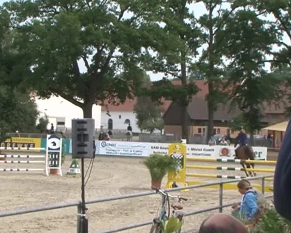 Reitturnier Redefin 2015