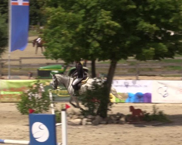 Reitturnier Münster-Roxel 2015