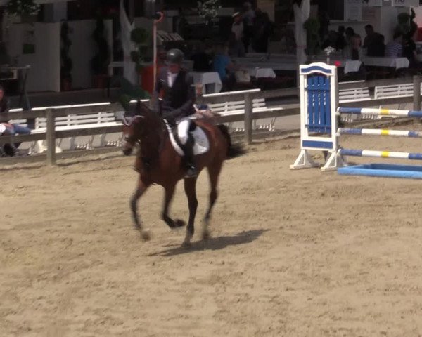 Reitturnier Münster-Roxel 2015
